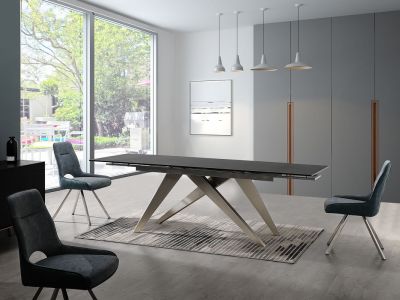 C008 Dining Chair Series 